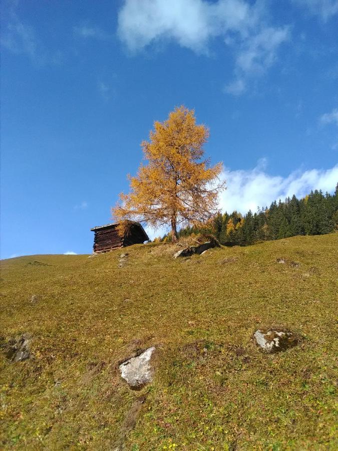 Ferienwohnung Felix-Adults Only Neustift im Stubaital Exterior foto